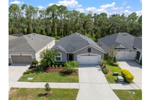 13223 BABY BELLE DRIVE, RIVERVIEW, FL 33579 - MLS#MFRTB8420109
