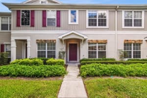 15813 Fishhawk Falls Dr, LITHIA