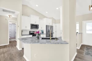 24730 LAUREL RIDGE DRIVE, LUTZ, FL 33559 - MLS#MFRTB8420175