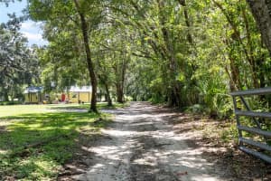 7713 23RD STREET, ZEPHYRHILLS, FL 33540 - MLS#MFRTB8420180