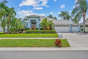 10031 Colonnade Dr, TAMPA