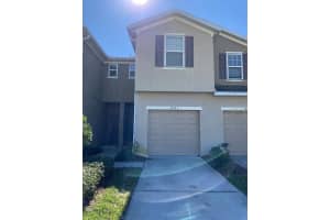4741 White Sanderling Ct, TAMPA