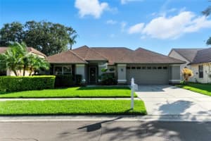 9540 Pebble Glen Ave, TAMPA