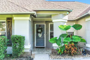 9540 PEBBLE GLEN AVENUE, TAMPA, FL 33647 - MLS#MFRTB8420211
