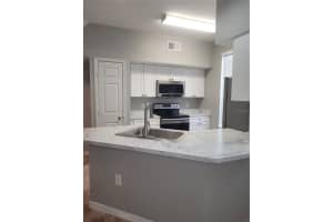 9732 LAKE CHASE ISLAND WAY, TAMPA, FL 33626 - MLS#MFRTB8420213