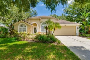 15209 Arbor Hollow Dr, ODESSA