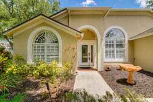 15209 ARBOR HOLLOW DRIVE, ODESSA, FL 33556 - MLS#MFRTB8420217