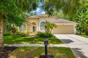 15209 ARBOR HOLLOW DRIVE, ODESSA, FL 33556 - MLS#MFRTB8420217