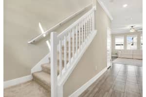 9782 CONEFLOWER COURT, LAND O LAKES, FL 34637 - MLS#MFRTB8420238