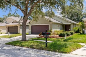 11721 Crest Creek Dr, RIVERVIEW