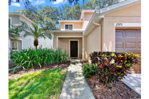 2970 ROYAL TUSCAN LANE, VALRICO, FL 33594 - MLS#MFRTB8420244