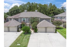 14086 Trouville Dr, TAMPA