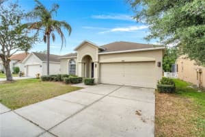 11337 Village Brook Dr, RIVERVIEW
