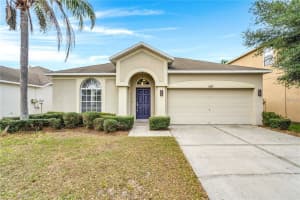 11337 VILLAGE BROOK DRIVE, RIVERVIEW, FL 33579 - MLS#MFRTB8420265