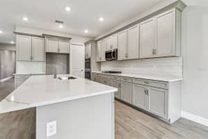 12309 WHITE BLOSSOM, PARRISH, FL 34219 - MLS#MFRTB8420272