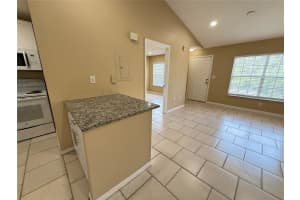 9248 LAKE CHASE ISLAND WAY, TAMPA, FL 33626 - MLS#MFRTB8420286