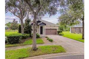 8249 CRESSIDA COURT, LAND O LAKES, FL 34637 - MLS#MFRTB8420310