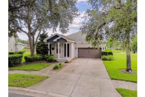 8249 CRESSIDA COURT, LAND O LAKES, FL 34637 - MLS#MFRTB8420310