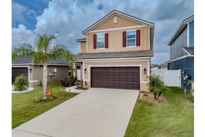 36085 TRINITY GLADE ROAD, DADE CITY, FL 33525 - MLS#MFRTB8420313
