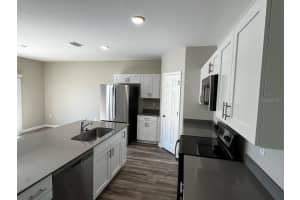 34200 SCARLET SAGE COURT, WESLEY CHAPEL, FL 33545 - MLS#MFRTB8420326