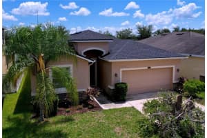 11428 WARREN OAKS PLACE, RIVERVIEW, FL 33578 - MLS#MFRTB8420343
