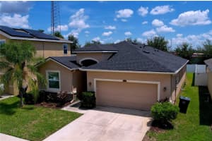 11428 WARREN OAKS PLACE, RIVERVIEW, FL 33578 - MLS#MFRTB8420343