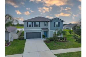 9805 Alysheba Ct, SUN CITY CENTER