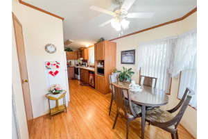 3020 MOSS HILL STREET, WESLEY CHAPEL, FL 33543 - MLS#MFRTB8420365