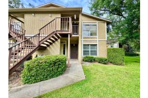14419 Hanging Moss Cir #101, TAMPA