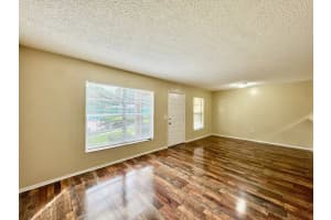 14419 HANGING MOSS CIRCLE, TAMPA, FL 33613 - MLS#MFRTB8420406