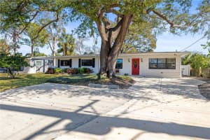 4526 S Clark Ave, TAMPA