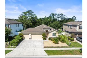 2559 Bartolo Dr, LAND O LAKES