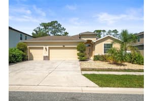 2559 BARTOLO DR DRIVE, LAND O LAKES, FL 34639 - MLS#MFRTB8420442