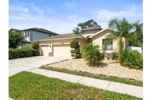 2559 BARTOLO DR DRIVE, LAND O LAKES, FL 34639 - MLS#MFRTB8420442