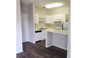 4211 CHATHAM OAK COURT, TAMPA, FL 33624 - MLS#MFRTB8420455
