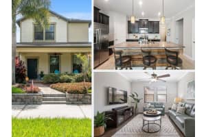 4264 Bexley Village Dr, LAND O LAKES