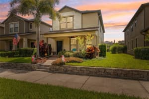 4264 BEXLEY VILLAGE DRIVE, LAND O LAKES, FL 34638 - MLS#MFRTB8420460
