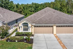 1236 BENSBROOKE DRIVE, WESLEY CHAPEL, FL 33543 - MLS#MFRTB8420468
