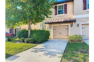 11742 CASTINE STREET, NEW PORT RICHEY, FL 34654 - MLS#MFRTB8420508