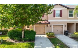 11742 CASTINE STREET, NEW PORT RICHEY, FL 34654 - MLS#MFRTB8420508