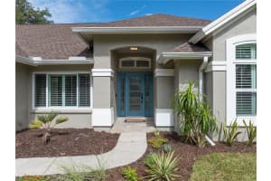 16104 DOWLING COURT, TAMPA, FL 33647 - MLS#MFRTB8420542