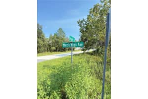 11096 MARSH WREN AVENUE, WEEKI WACHEE, FL 34614 - MLS#MFRTB8420558