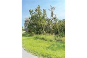 11096 MARSH WREN AVENUE, WEEKI WACHEE, FL 34614 - MLS#MFRTB8420558