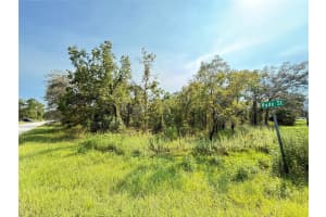 11096 MARSH WREN AVENUE, WEEKI WACHEE, FL 34614 - MLS#MFRTB8420558