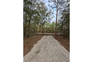 NE 127TH CT, WILLISTON, FL 32696 - MLS#MFRTB8420564