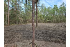 NE 127TH CT, WILLISTON, FL 32696 - MLS#MFRTB8420564