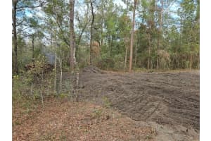 NE 127TH CT, WILLISTON, FL 32696 - MLS#MFRTB8420564