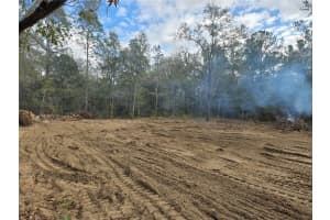 127TH CT, WILLISTON, FL 32696 - MLS#MFRTB8420579