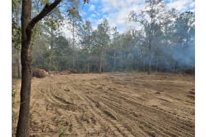 127TH CT, WILLISTON, FL 32696 - MLS#MFRTB8420579