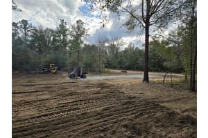 127TH CT, WILLISTON, FL 32696 - MLS#MFRTB8420579